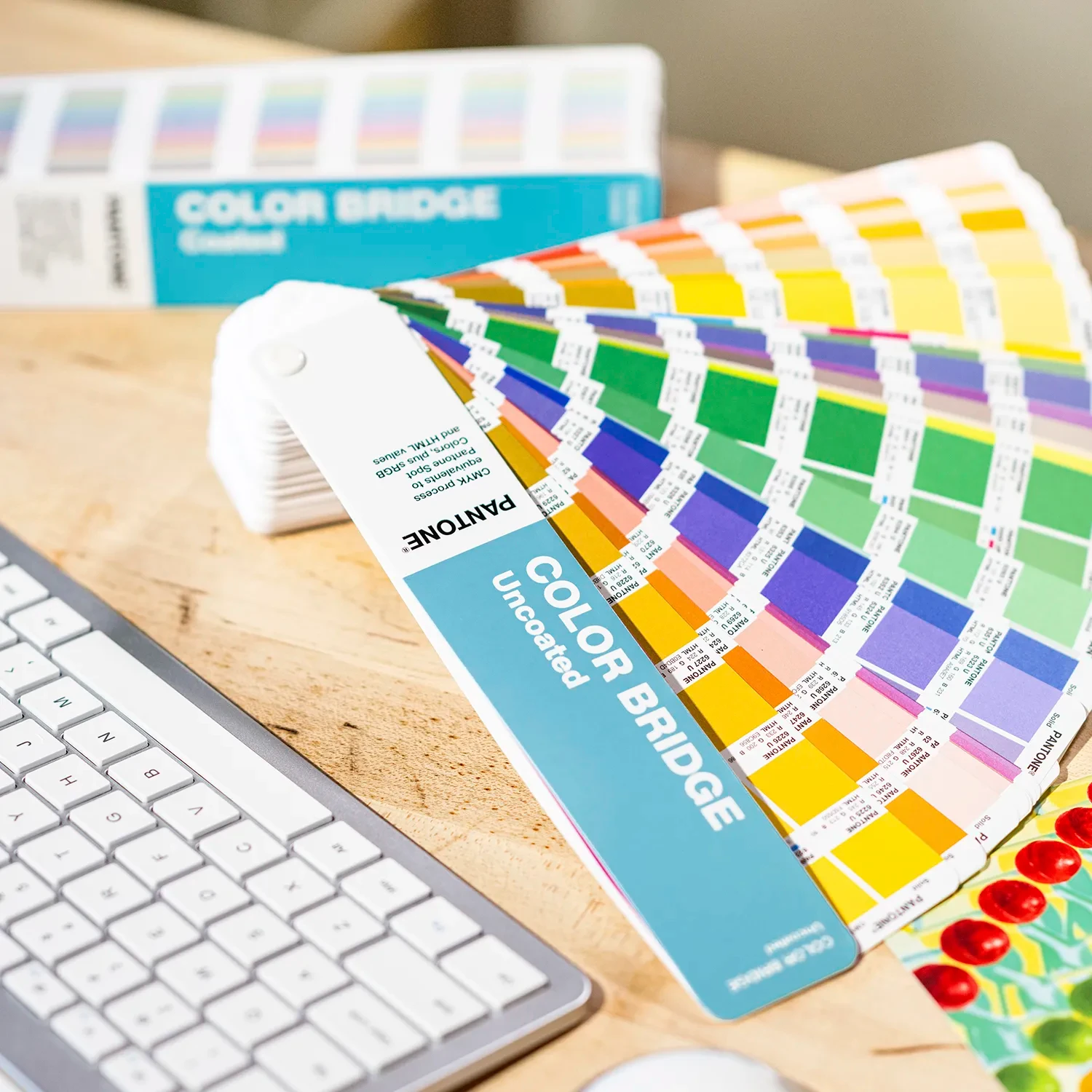 GP6102C Pantone Color Bridge Guide Set  Coated & Uncoated NEW 2026 - Image 4